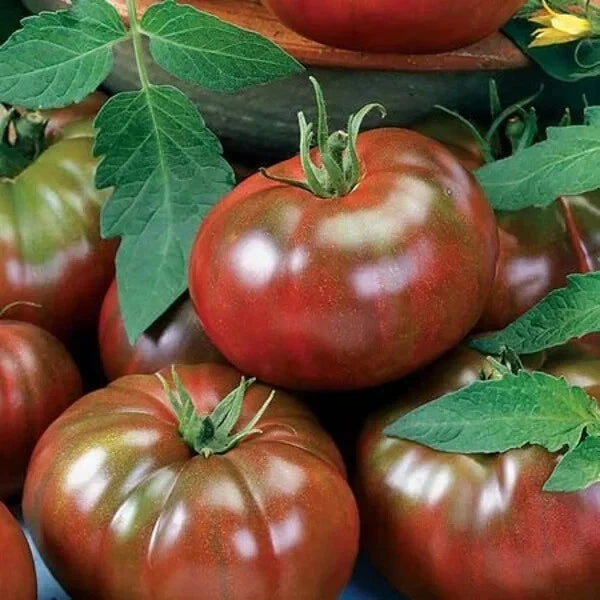 Chef's Choice Black Tomato Seeds – Organic Heirloom Solanum lycopersicum, 40 Non-GMO Seeds for Home Garden, Full Sun, USA Grown