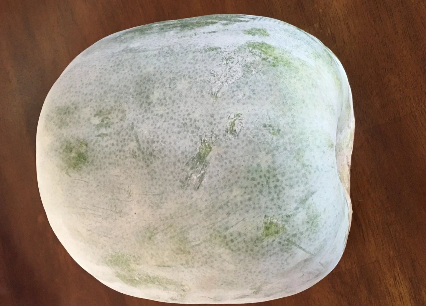 Wax Gourd Seeds - 20+ White Ash Gourd Winter Melon Dong Gua Heirloom Vegetable Seeds Benincasa hispida