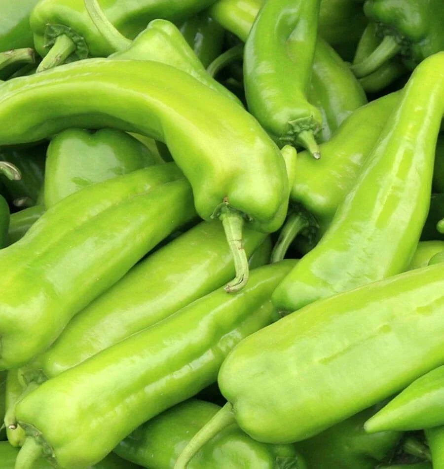 Anaheim Chile Pepper Seeds - 50+ Non-GMO Heirloom Vegetable Seeds Capsicum annuum for Home Garden, Salsas, Sauces
