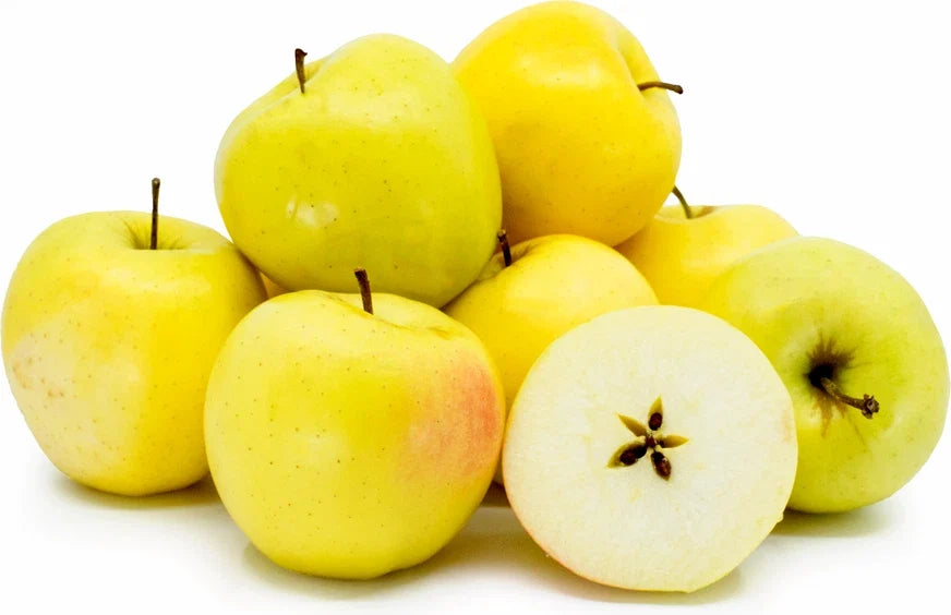 Golden Apple Seeds 5+1 Organic Heirloom Malus domestica for Homegrown Edible Fruit Tree