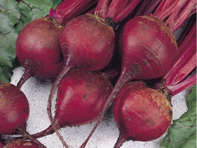 Ruby Queen Beet Seeds - 1 LB Bulk, Beta vulgaris, Tender, Bright Color, Root Vegetable, Easy to Grow
