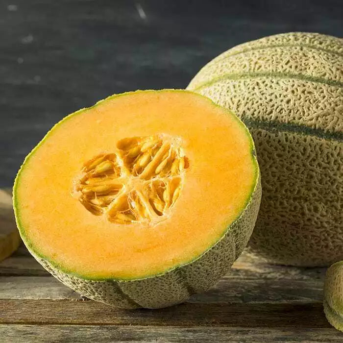 Honey Rock Melon Seeds - NON-GMO Sugar Rock Cantaloupe | Cucumis melo