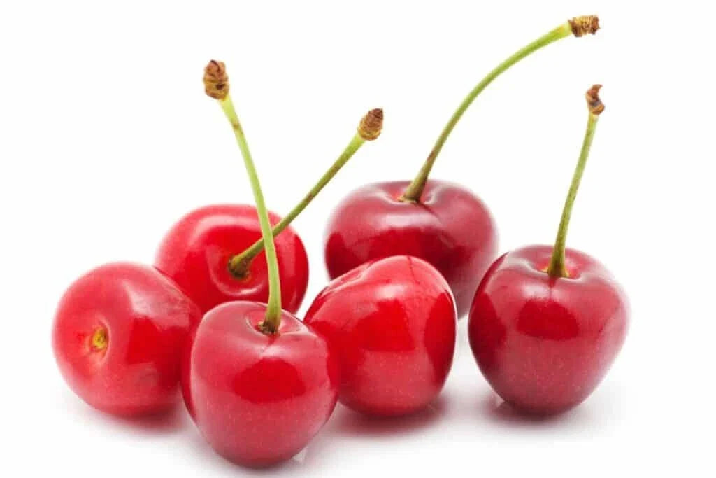 Sour Cherry Seeds Pack – Prunus cerasus Tart Cherry Variety for Home Garden, Fast Shipping, Easy to Grow
