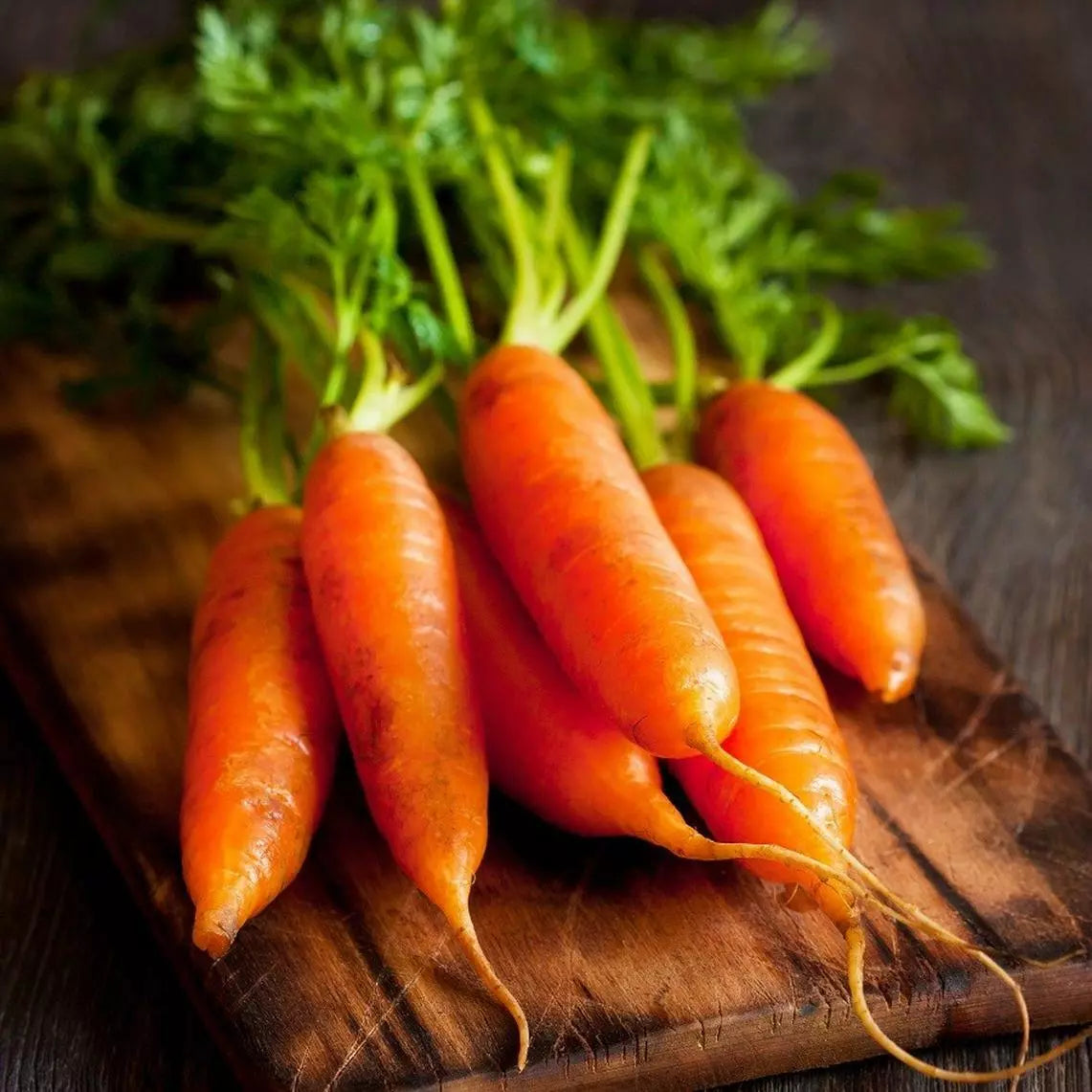 Little Fingers Carrot Seeds - Nantes Type Baby Carrot NON-GMO Heirloom Organic