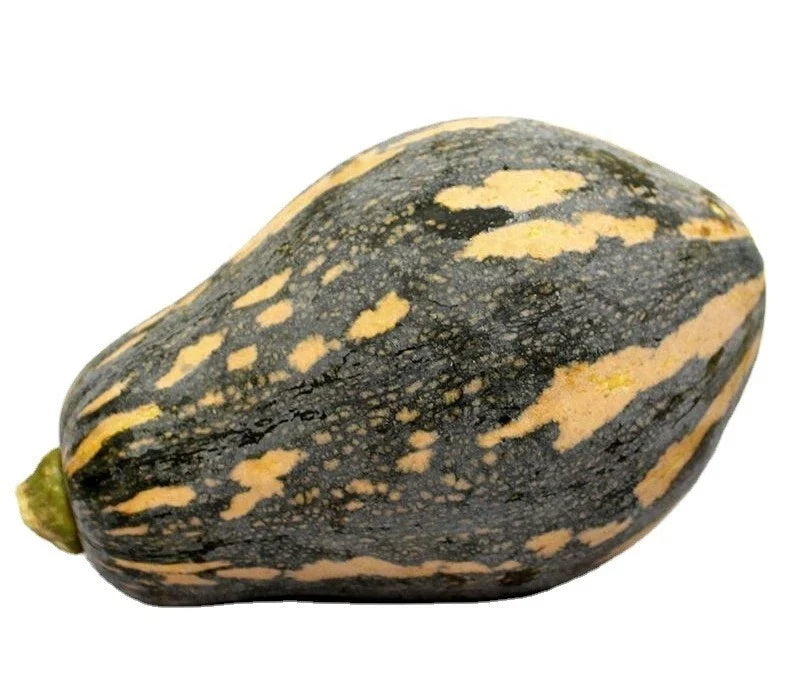 Taro Flavor Pumpkin Seeds - Hybrid F1 XiangYu Nangua Chinese Winter Squash Seeds for Gardening, Culinary Use, 10+ Seeds