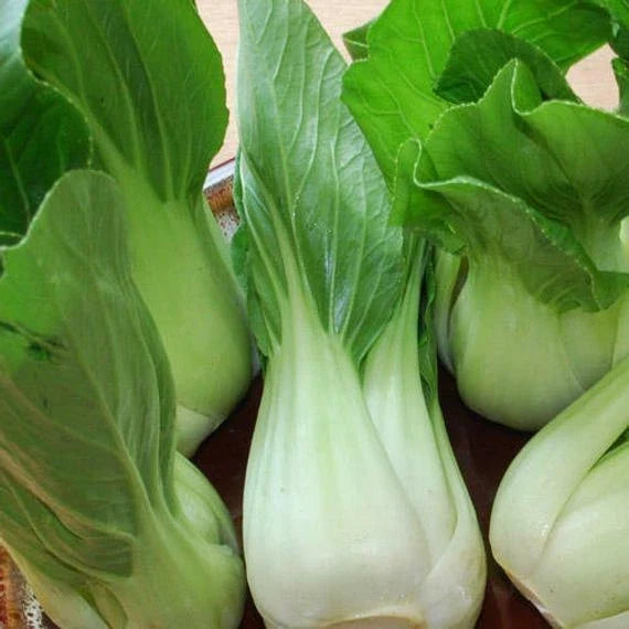 Pak Choi Seeds - Heirloom Chinese Cabbage Brassica rapa var. chinensis - Fast-Growing, Non-GMO Vegetable Seeds