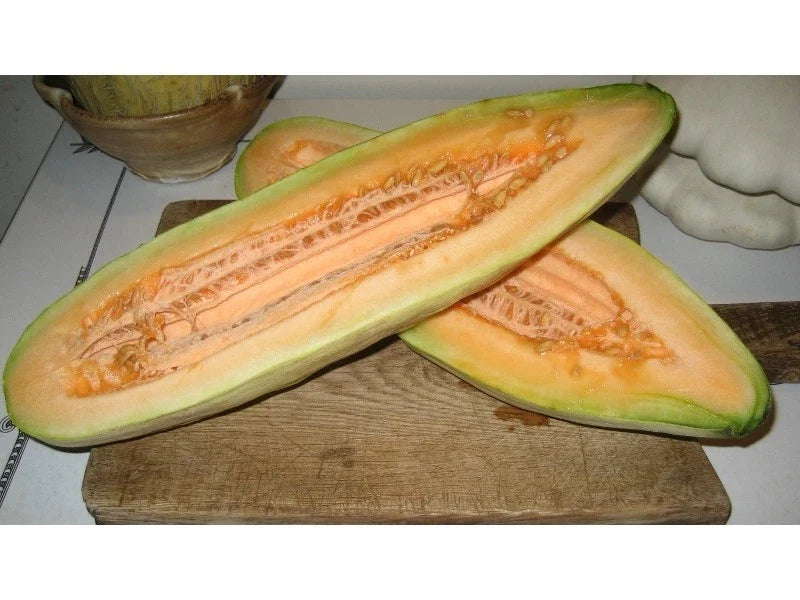 Banana Cantaloupe Seeds - Cucumis melo, Sweet Juicy Melon Seeds for Planting, Non-GMO, Full Sun, Vining, 20 Seeds