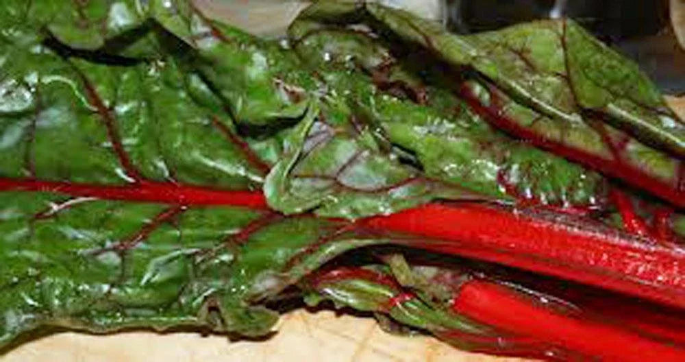 Heirloom Rhubarb and Swiss Chard Seeds – Non-GMO, Organic, 500 Seeds for Home Gardens and Sustainable Gardening