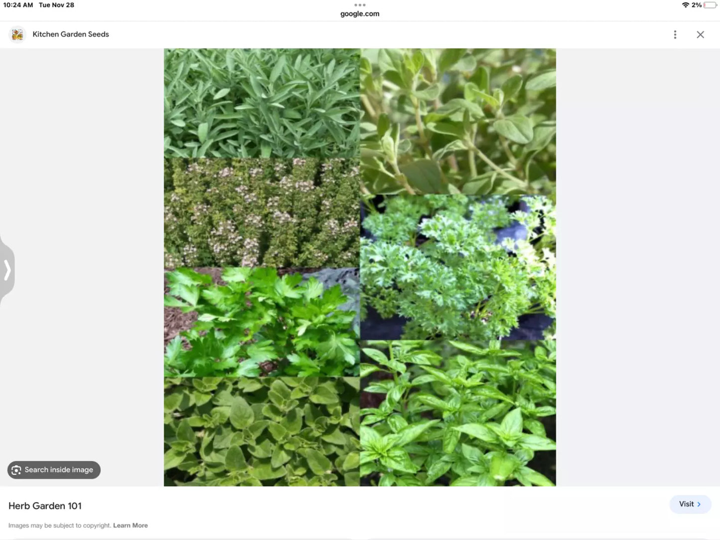 Indoor Herb Seeds Set - Basil, Thyme, Parsley, Oregano, Dill, Cilantro - 6 Mini Packs for Home Gardening