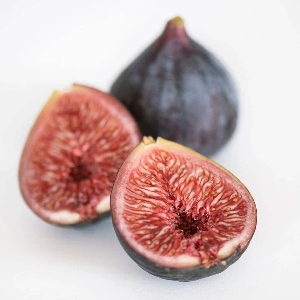 Black Mission Fig Seeds - Organic Ficus carica Fruit Tree Seeds for Garden Planting - Non-GMO, USA Grown, 100+ Pack
