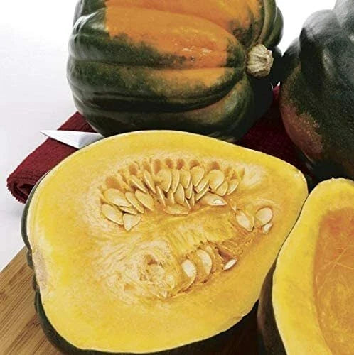 Acorn Squash Seeds - 50 Pack - Nutritious Cucurbita pepo for Gardening & Cooking