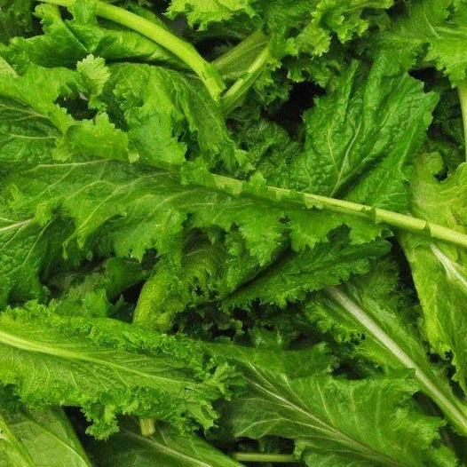 Spicy Brown Mustard Greens Seeds - Brassica juncea - Organic, Non-GMO, 1000+ Seeds for Home Garden & Urban Farming