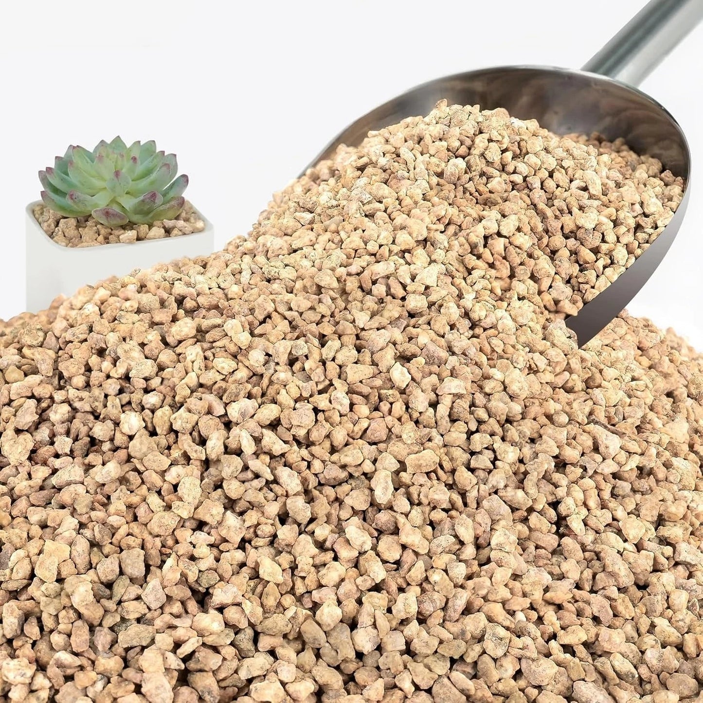 3Lb Maifanitum Golden Pea Gravel for Succulents & Cacti - 1/8"-1/4" Decorative Stones
