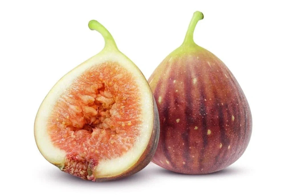 Smyrna Fig Seeds - 100+ Pack, Ficus carica, Fruit-bearing Tree for Garden Planting, Non-GMO, USA Grown