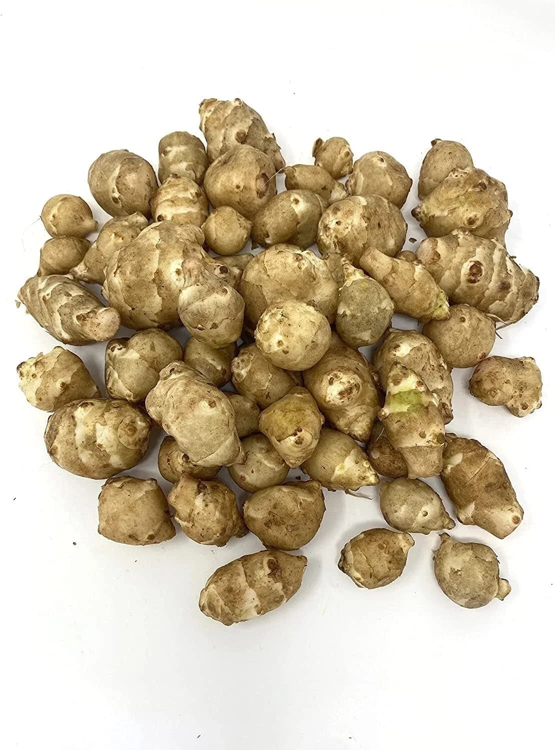 Organic White Sunchoke Tubers for Planting - Helianthus tuberosus - Non-GMO Jerusalem Artichoke, Perennial Vegetable, Easy to Grow