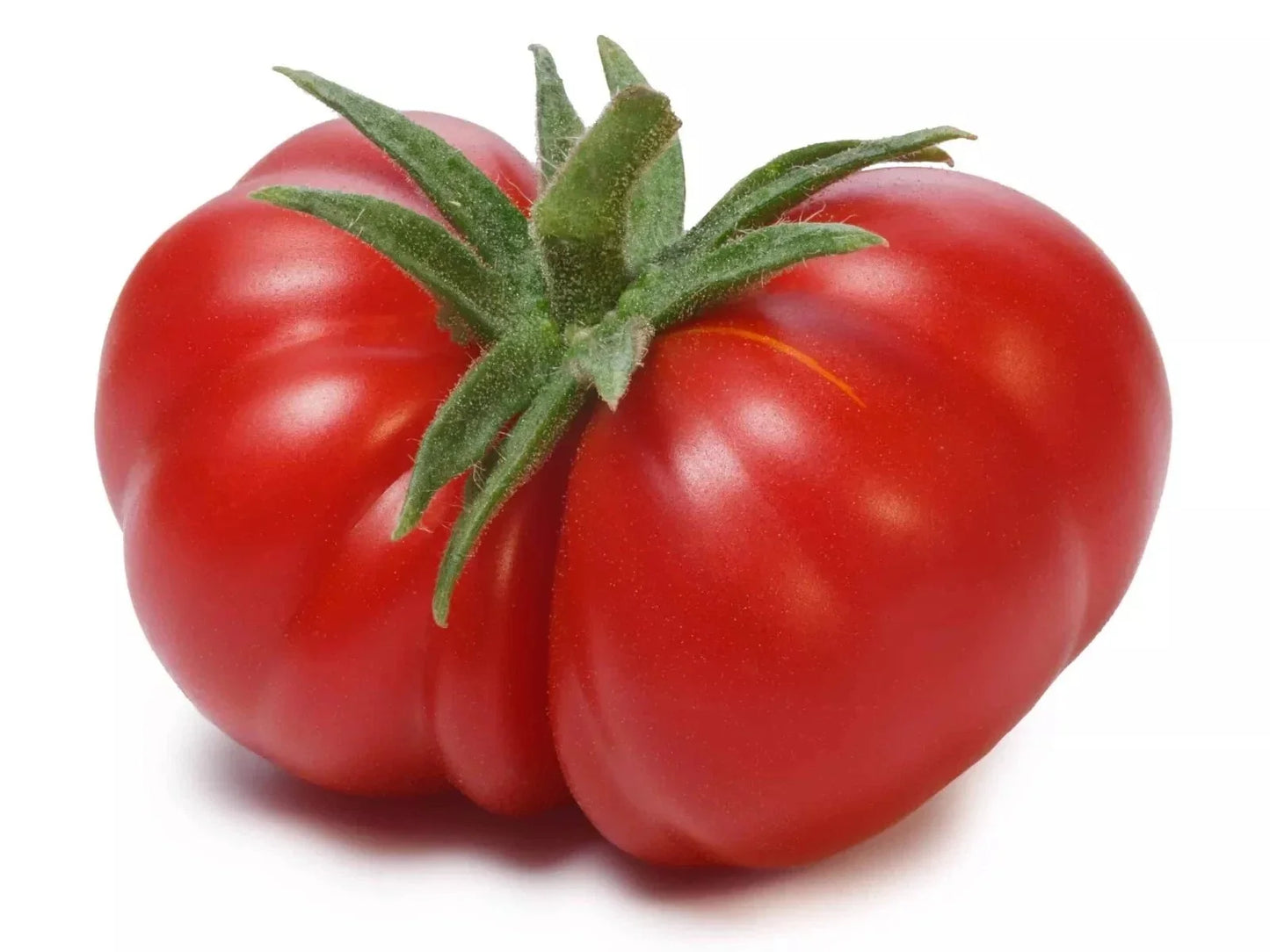 Beefsteak Tomato Seeds - Organic Non-GMO Heirloom - Large Juicy Fruits - Solanum lycopersicum - 10+ Seeds for Planting