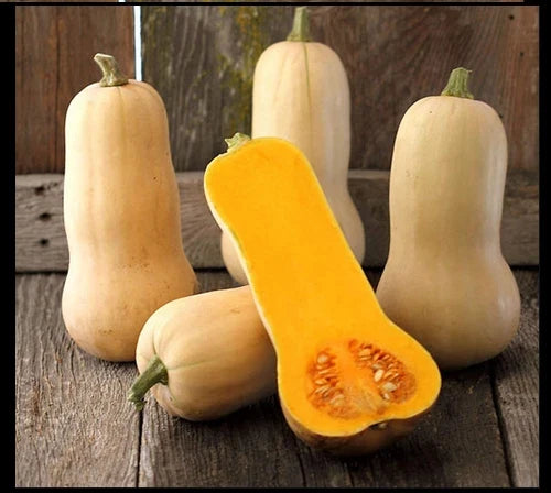 Waltham Butternut Winter Squash Seeds – Heirloom Cucurbita moschata for Fall Harvest, Nutty Flavor, High Yield, Packaged for Easy Planting