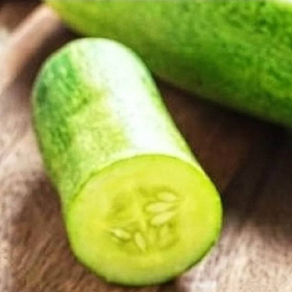Straight Eight Cucumber Seeds | NON-GMO Heirloom Seeds | Organic Vegetable Garden