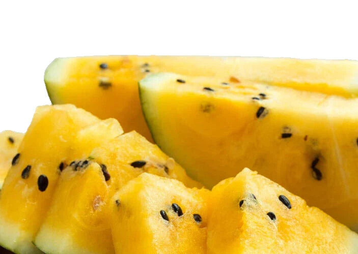 Watermelon Seeds Moon and Stars Yellow Flesh - 8 Seeds Citrullus lanatus