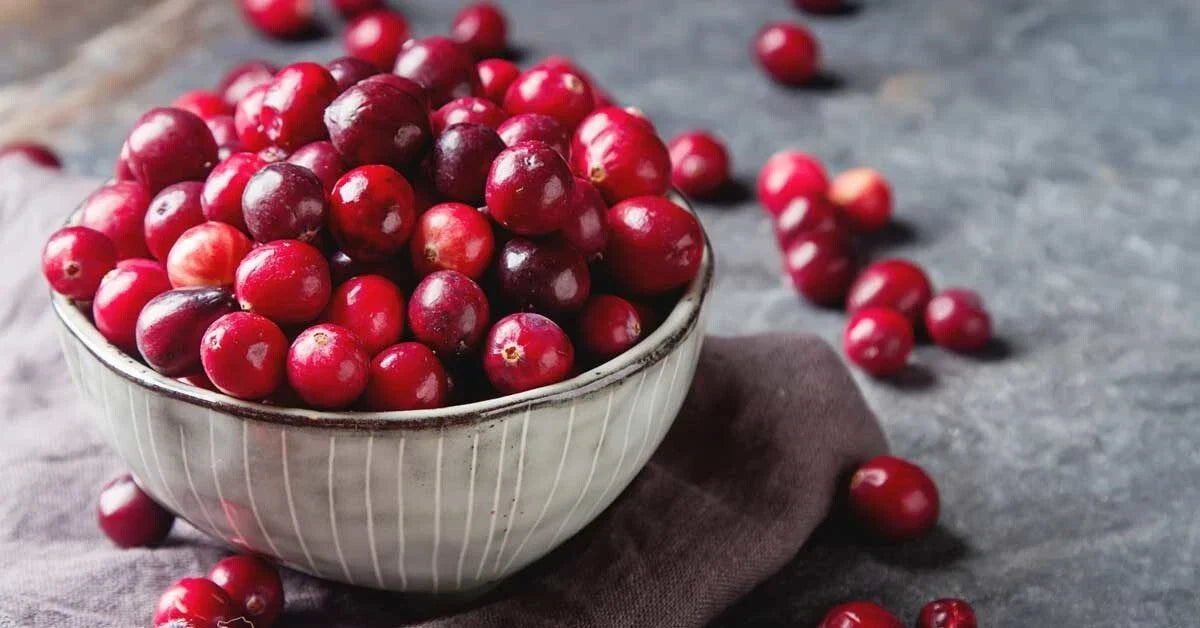 Organic Cranberry Seeds - Vaccinium macrocarpon - Homegrown Medici Variety, Non-GMO, Edible Fruit, 50 Seeds