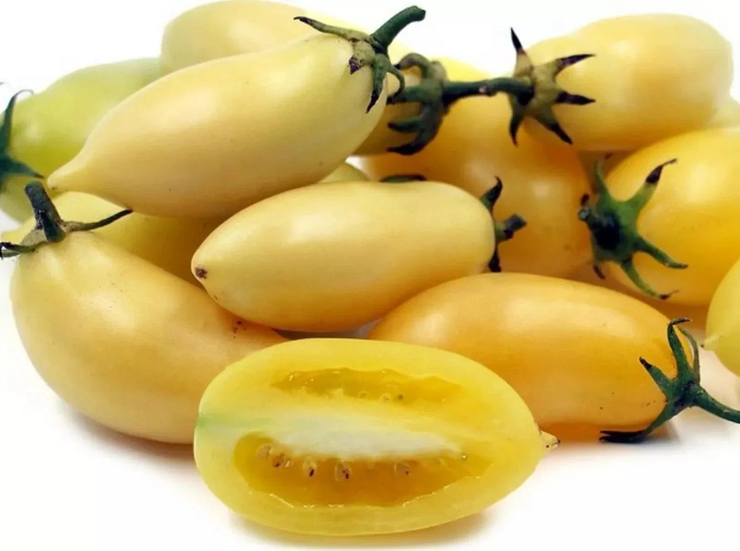 Heirloom Cream Sausage Tomato Seeds - Organic Non-GMO - 10+ Rare Seeds