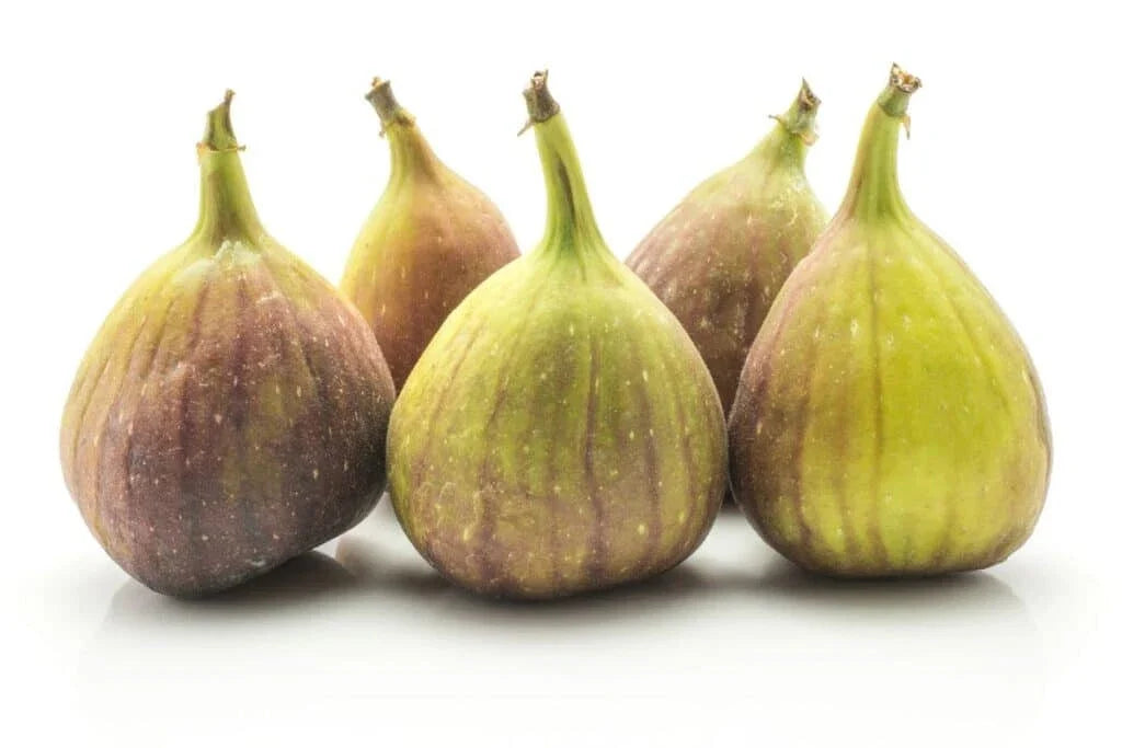 Kadota Fig Seeds - 100+ White Variety Ficus carica for Garden Planting, Homegrown Figs, Easy to Grow