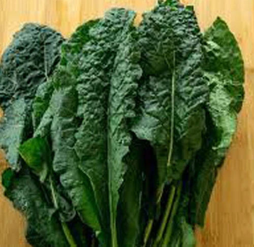 Lacinato Kale Seeds - Heirloom Dinosaur Kale - Italian Brassica oleracea - Organic, Non-GMO, 200+ Seeds for Home Gardening