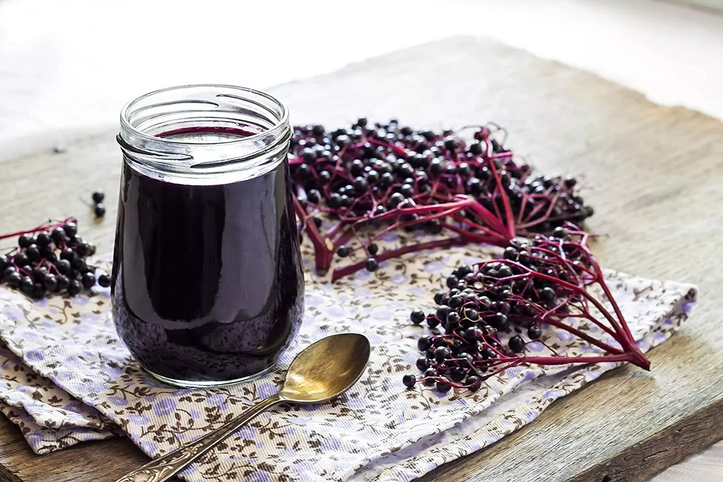 Fresh Elderberry Cuttings 24 Pack Black-Bearing Sambucus nigra for Home Garden and Culinary Use