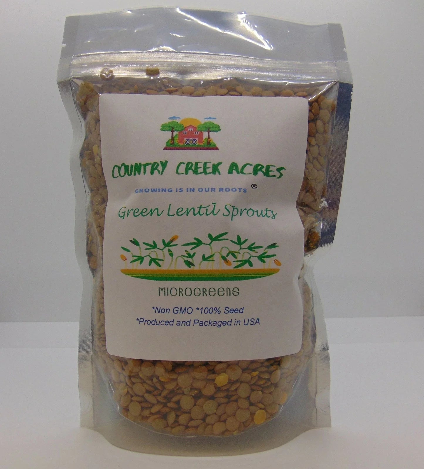Green Lentils 2 oz Dried Legumes for Sprouting & Gardening, Lens culinaris, High Protein & Fiber