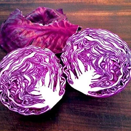 Red Acre Cabbage Seeds - Heirloom Brassica oleracea - 250+ Non-GMO Seeds for Garden, Cool-Season, Compact Growth, Made in USA