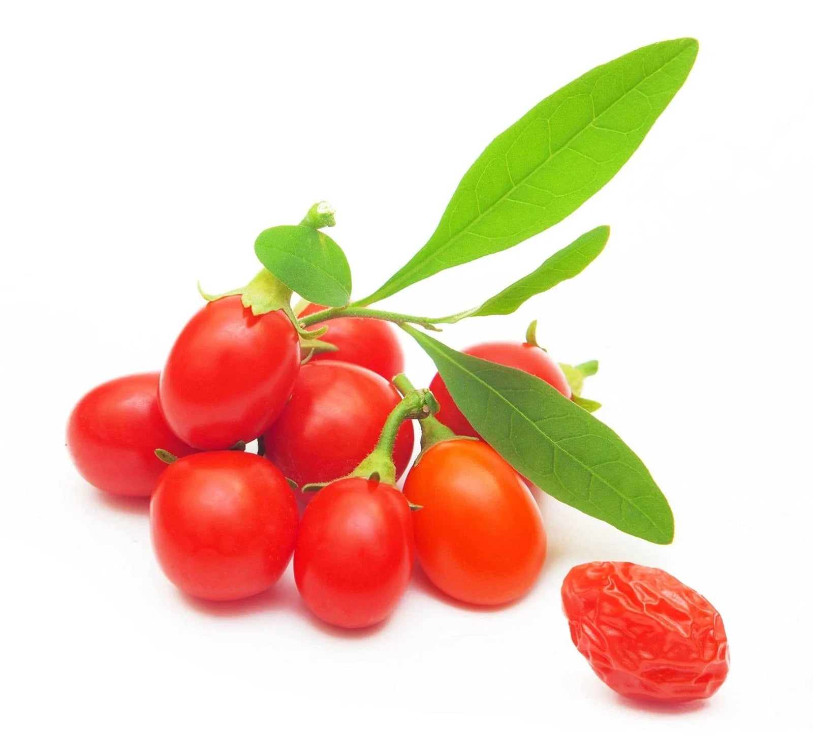 Goji Berry Seeds - 100+ Lycium barbarum Fruit Tree for Superfood Gardening