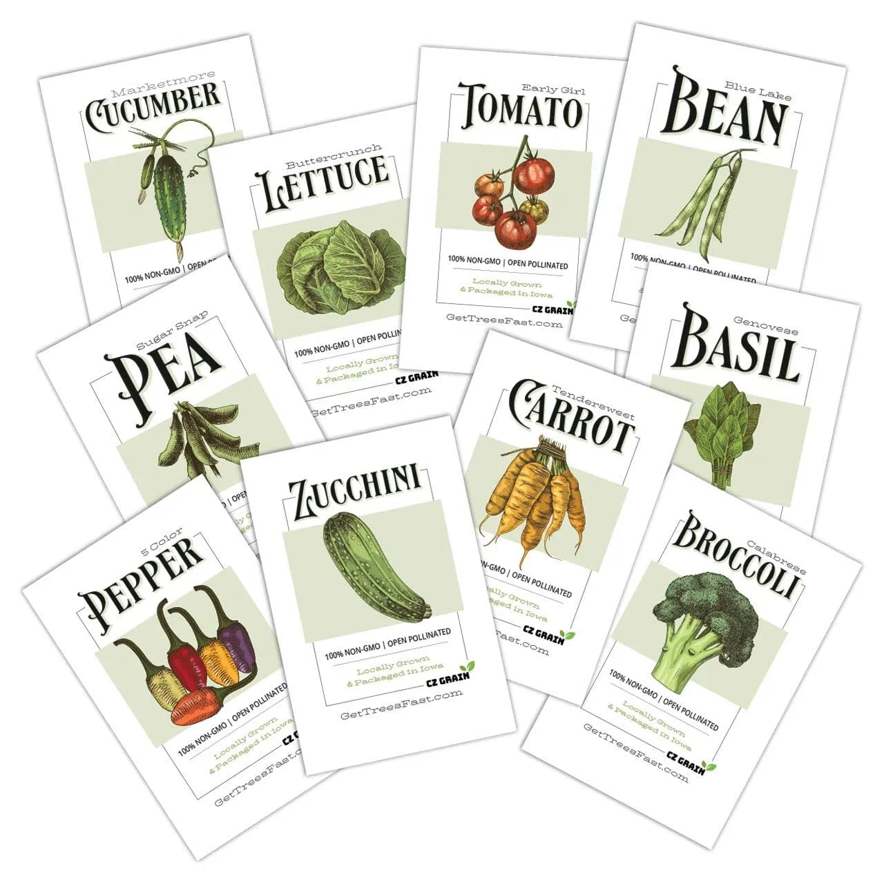 Vegetable Garden Seeds Collection 10 Pack – Non-GMO Organic Edible Varieties for Home Gardening
