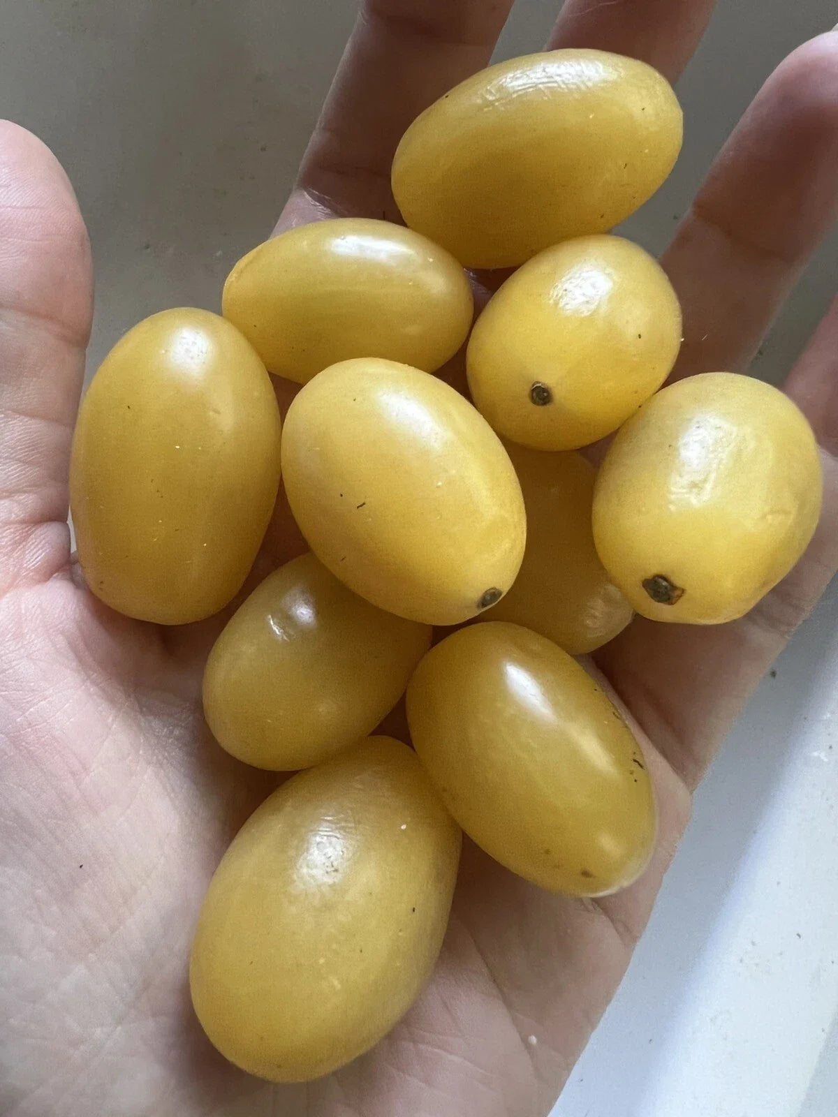 Organic Yellow Grape Tomato Seeds - Non-GMO, Edible Garden Vegetable, Solanum lycopersicum, Sweet, Juicy, 50 Seeds