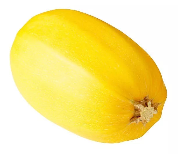 Spaghetti Squash Seeds - Organic Heirloom Cucurbita pepo, Non-GMO, 25 Seeds for Home Garden, Easy to Grow, USA Free Shipping