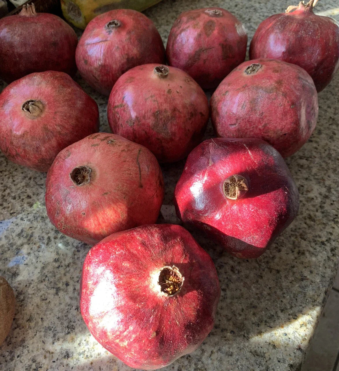 Organic Pomegranate Seeds - Non-GMO, Edible Fruit for Home Garden, Punica granatum, Bountiful Harvest