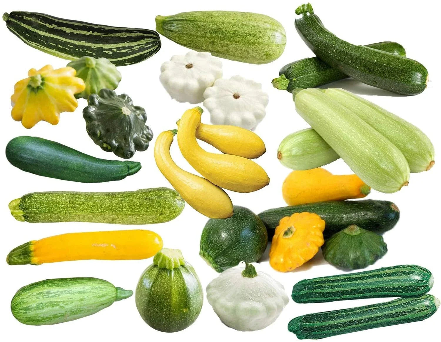 Non-GMO Zucchini Seeds Mix – Italian Varieties (Cocozelle, Grey, Yellow) for Home Gardens & Container Planting