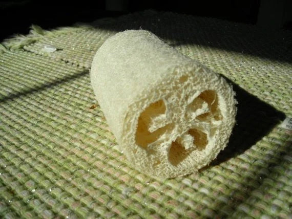Luffa Sponge Gourd Seeds - 7 Packets for Natural Sponges, Eco-Friendly Gardening, Luffa aegyptiaca