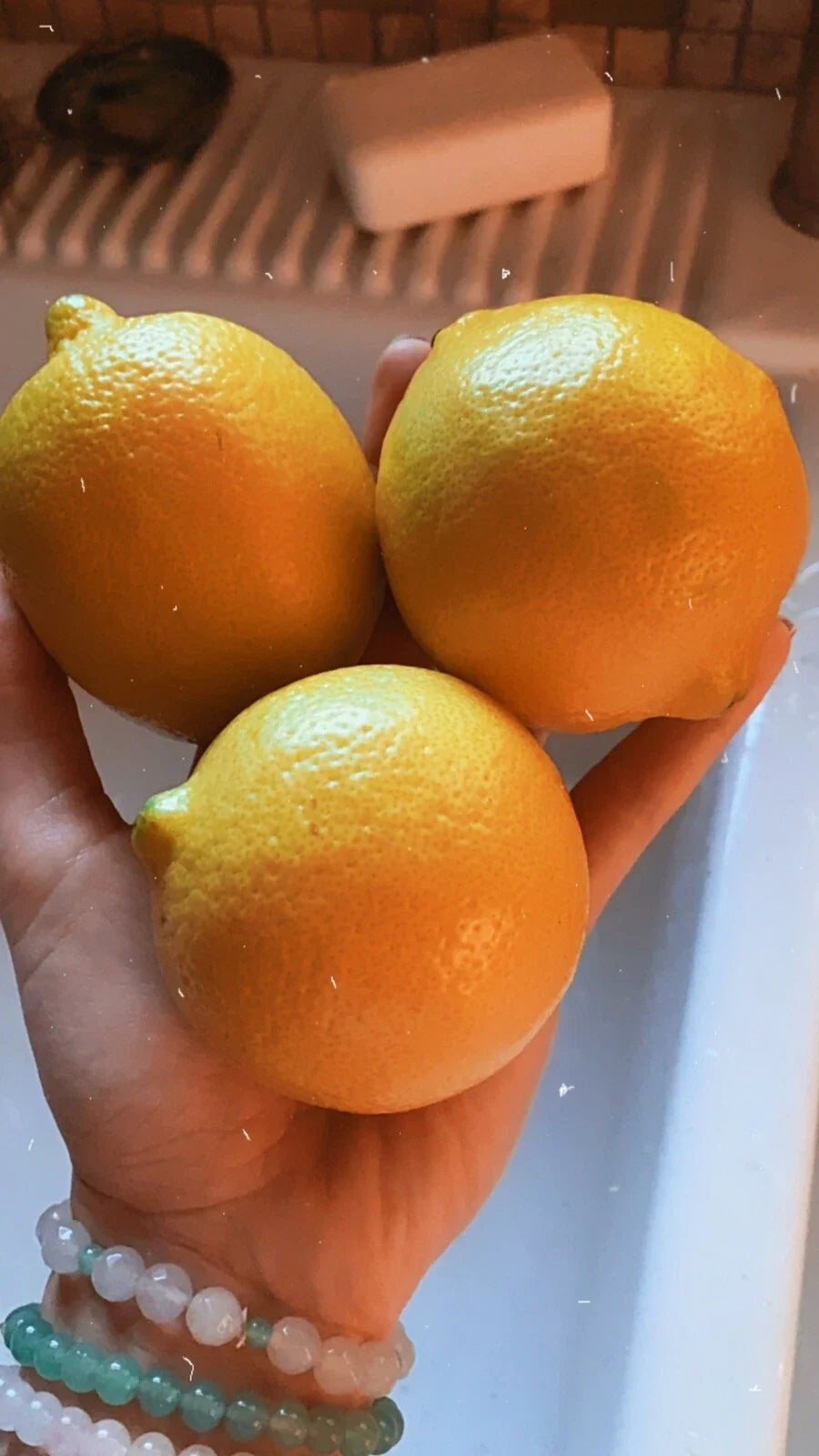 Organic Lemon Seeds - Citrus limon - Non-GMO, Pesticide-Free, for Home Garden, Patio, Container Growing