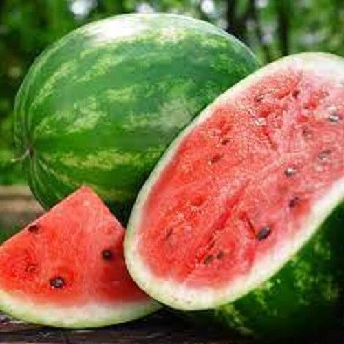 Premium Crimson Sweet Watermelon Seeds - Citrullus lanatus, Juicy, Sweet, Vining, Pack of 20 Seeds for Home Garden Planting