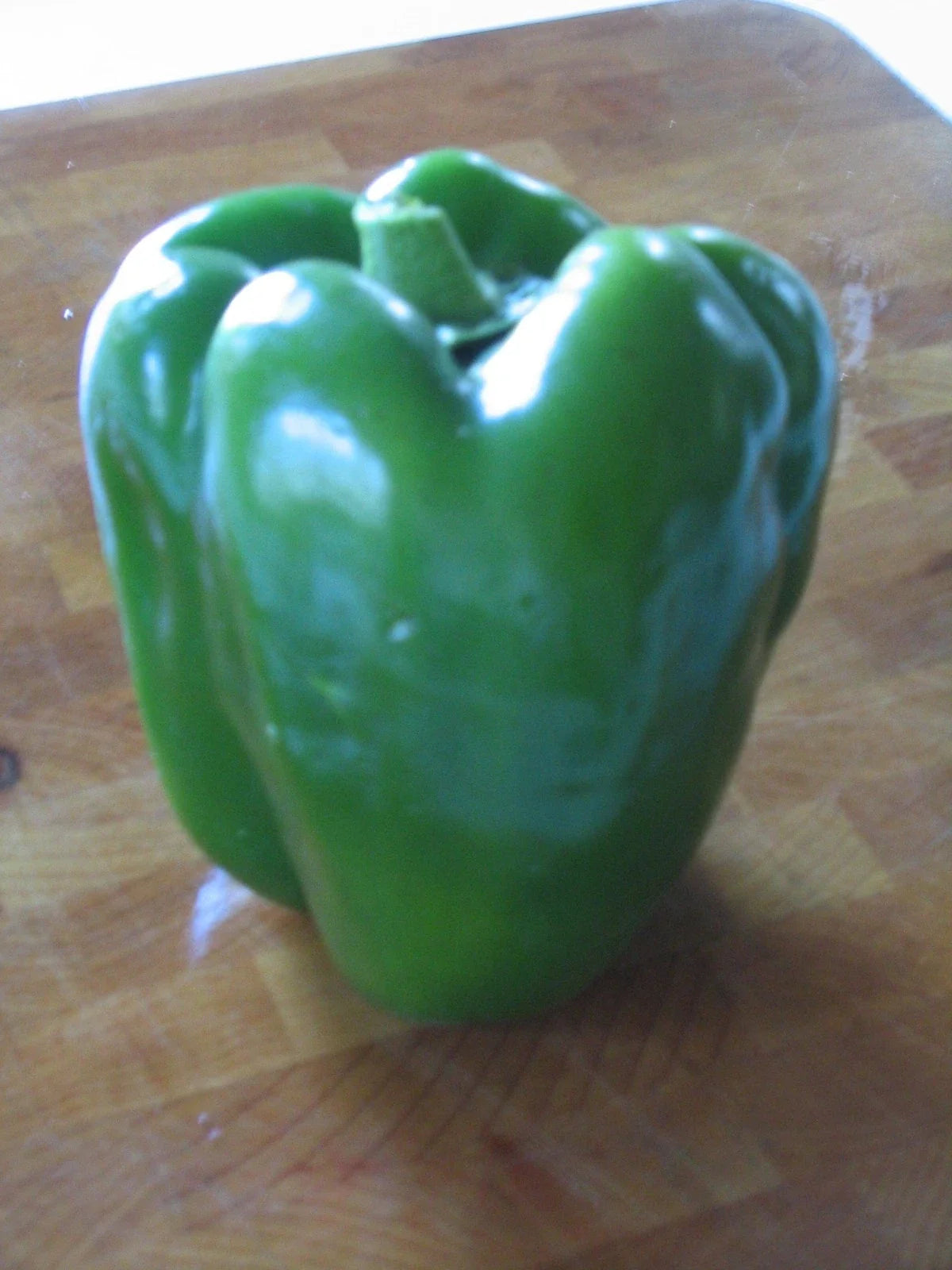 YOLO Wonder Sweet Pepper Seeds – 20 Glossy Capsicum annuum Gourmet Vegetable Seeds for Home Garden, Container, and Kitchen Use