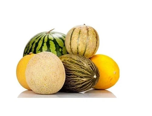 Melon Seeds Packets – Watermelon, Cantaloupe, Musk, Crenshaw, Canary, Asian – Non-GMO, Heirloom, Garden Planting