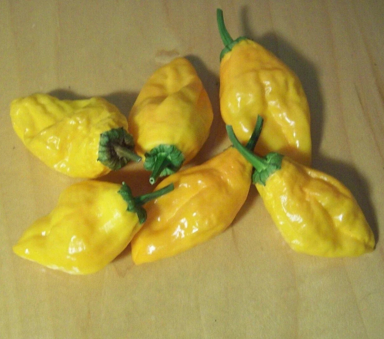 Pepperoncini Pepper Seeds 30+ Orange Capsicum annuum Hot Culinary Vegetables for Salsa and Salad
