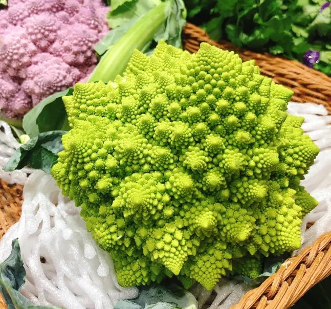 Romanesco Broccoli Seeds - 1000+ Non-GMO Organic Heirloom Brassica oleracea Vegetable Seeds