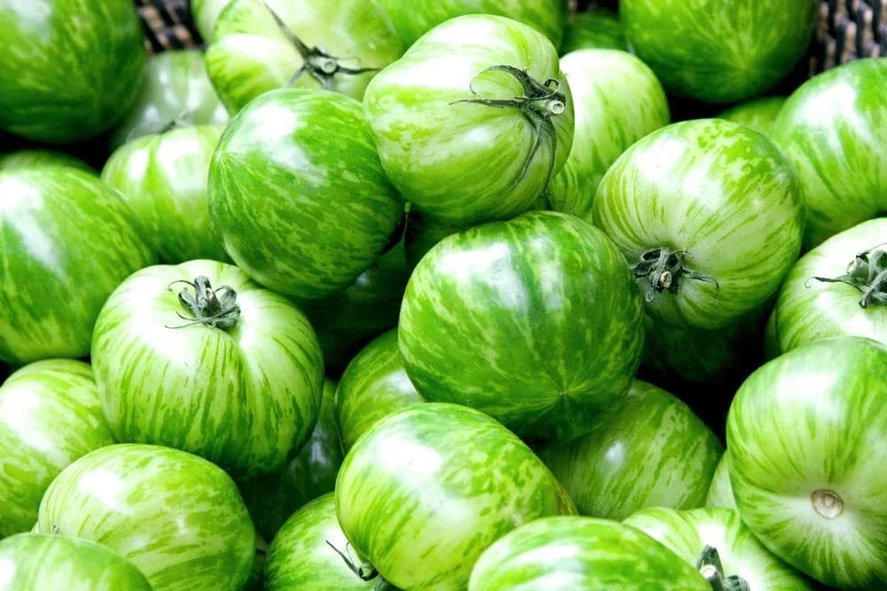 Green Zebra Tomato Seeds - Heirloom Striped Variety - Solanum lycopersicum - 50+ Seeds for Garden & Container Growing