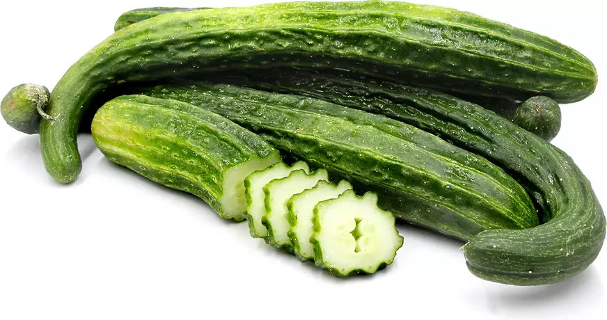 Suyo Long Cucumber Seeds - 100+ Heirloom Organic Non-GMO Cucumis sativus, Long, Slender, Crisp, Sweet Flavor, Disease-Resistant