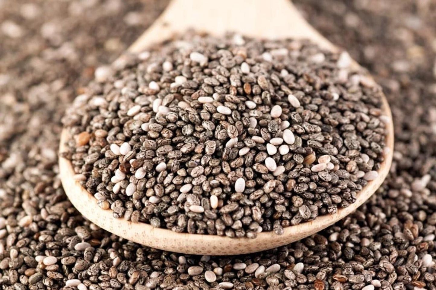 Organic Chia Seeds for Microgreens & Sprouting, Salvia hispanica, 12 Ounces, Superfood for Healthy Living