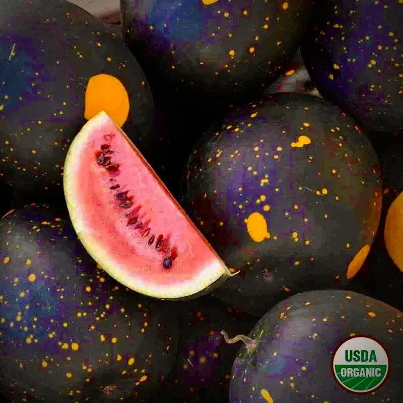 Moon and Stars Red Cherokee Watermelon Seeds - Non-GMO Heirloom Citrullus lanatus, Pack of 20