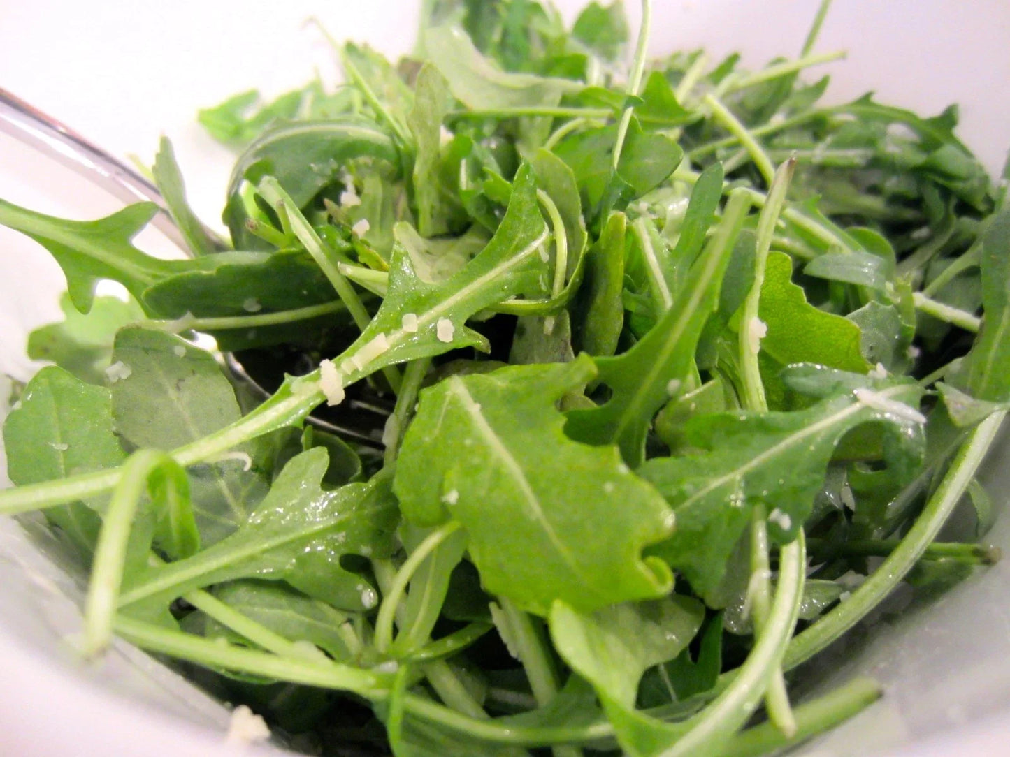 Organic Arugula Seeds - Roquette, Eruca sativa, 600+ Pack for Spring & Fall Gardens, Containers, Patio, Fast Growing