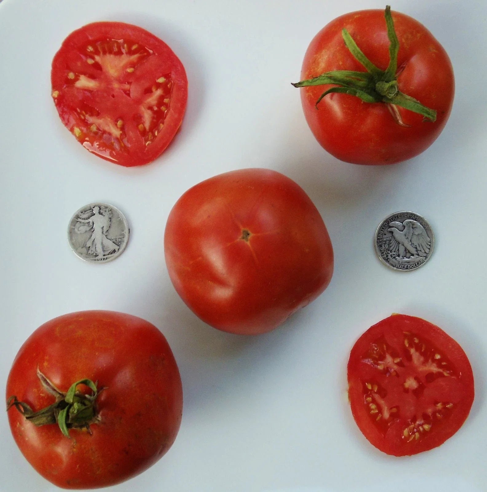 Marglobe Supreme Tomato Seeds - 25 Fresh Heirloom Solanum lycopersicum, Disease-Resistant, High-Yield, Full Sun, Non-GMO