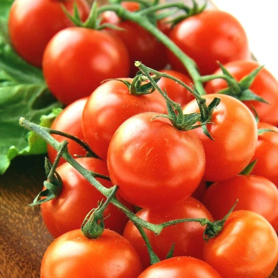 Organic Heirloom Cherry Tomato Seeds - 100+ Non-GMO Vegetable Garden Seeds for Patio & Container Growing